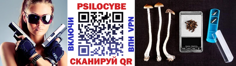 Псилоцибиновые грибы Psilocybine cubensis Геленджик