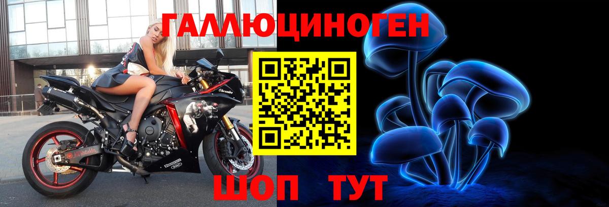Геленджик  купить наркотик  Вход с VPN  Псилоцибиновые грибы прущие грибы  Галлюциногенные грибы Magic Shrooms 