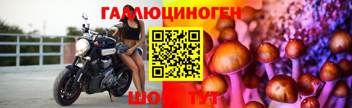 Галлюциногенные грибы Psilocybine cubensis Геленджик