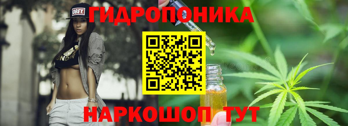 Шишки марихуана планчик Геленджик